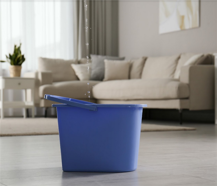 a blue bucket sitting on the floor of a living room catching water that is falling from the ceiling