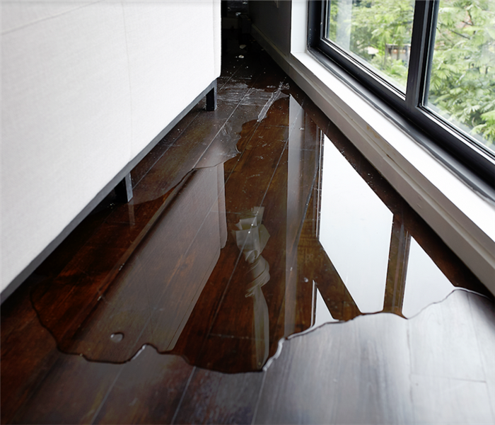 a puddle of water on the hardwood floor of a home