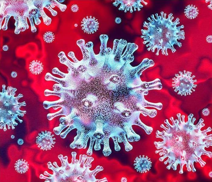 blue and red view of corona virus